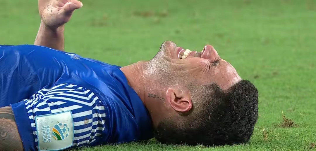 向云鹿和段临舟笔趣阁